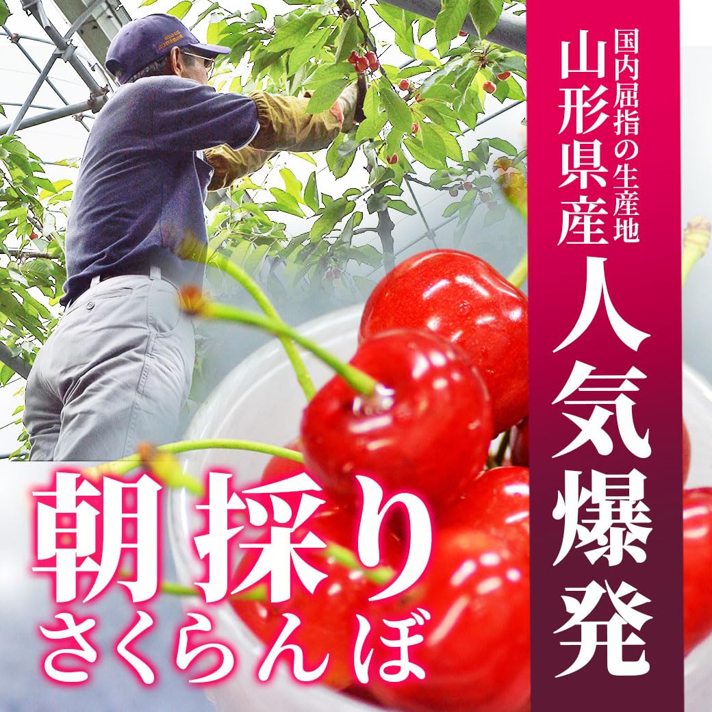 Amazon.co.jp: 母の日ギフト 山形県産 特秀 さくらんぼ 紅秀峰 2L玉 24